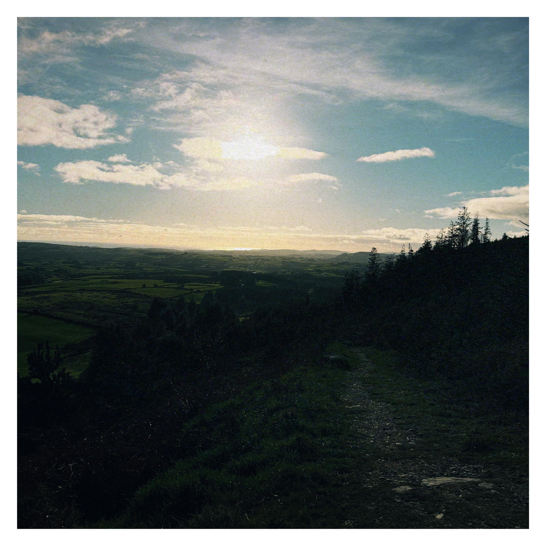 Auto-generated description: A sunlit rural landscape features rolling hills, a partially clouded sky, and a narrow path beside a forested area.